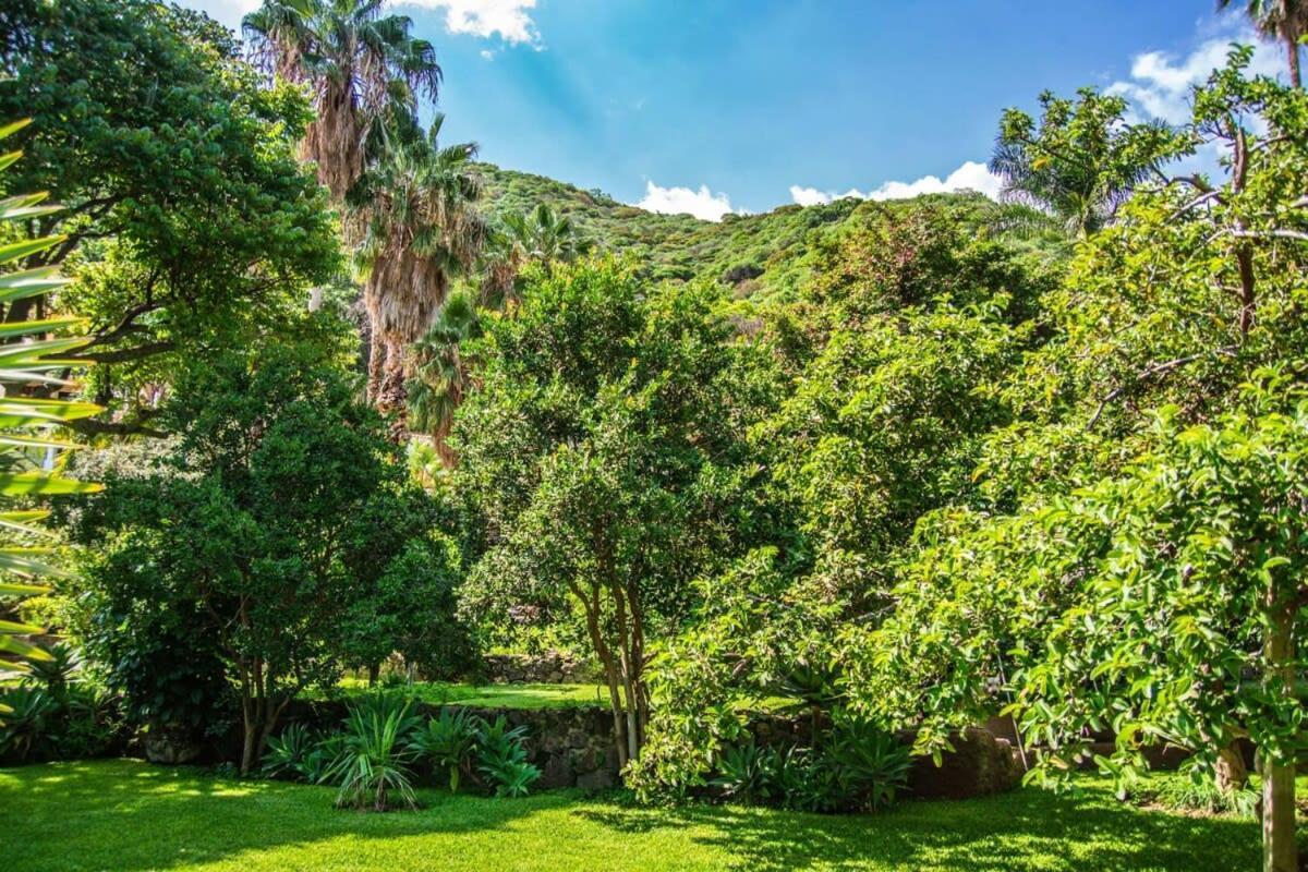 Casa Galeana- Tropical 1-Bd 1-Wc Mountain Top Luxury Suite With Stunning Views Ajijic Exterior photo